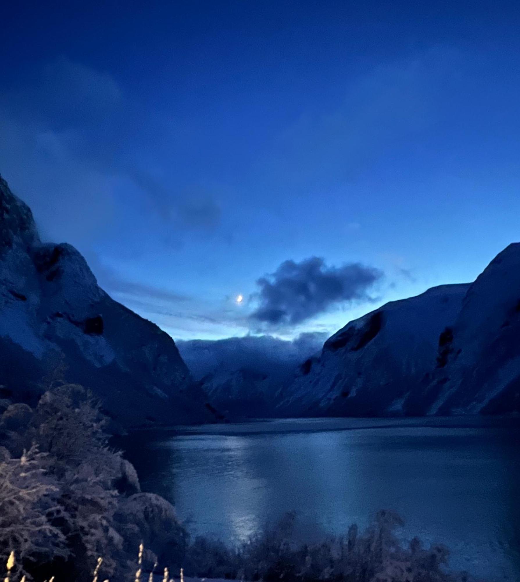 Campsite Iris Vedal *